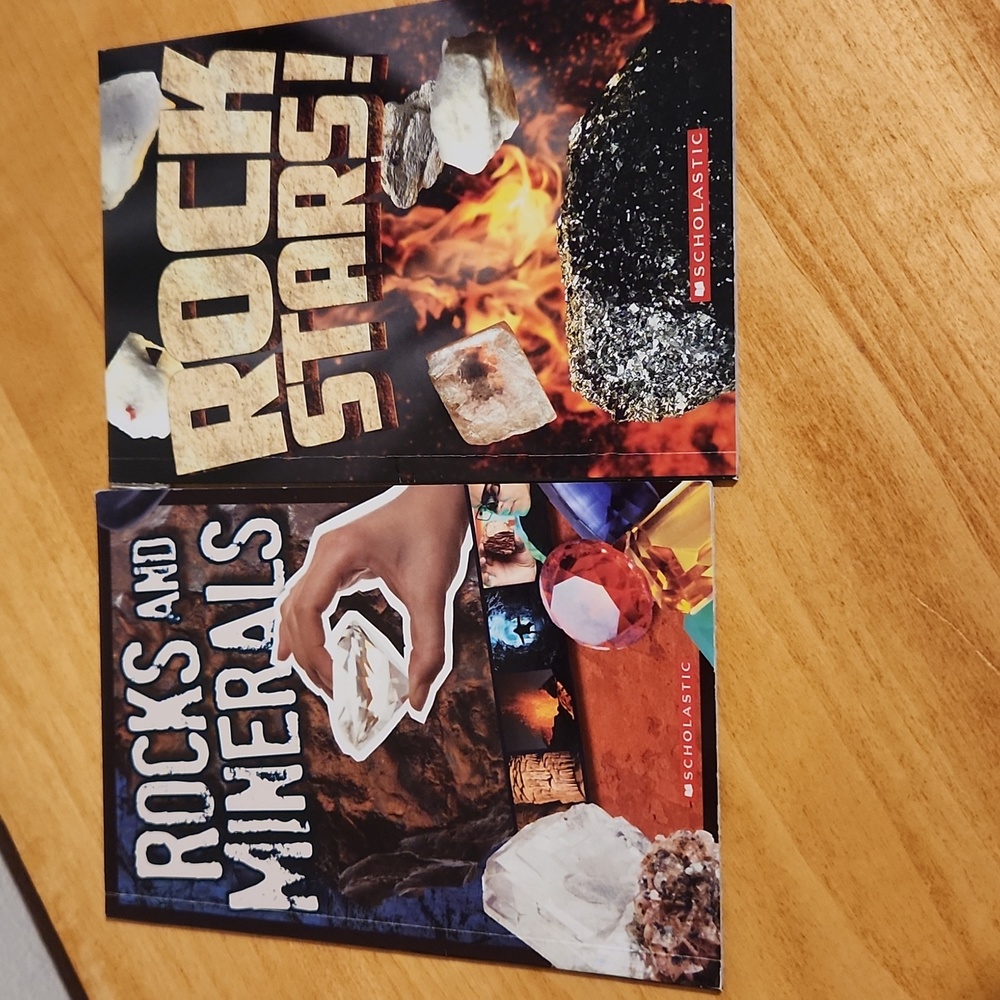 Rocks And Minerals Books
